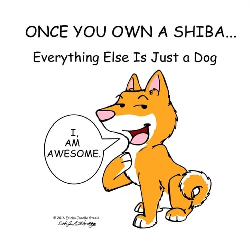 Once You Own a Shiba... Everything Else Is Just a Dog
