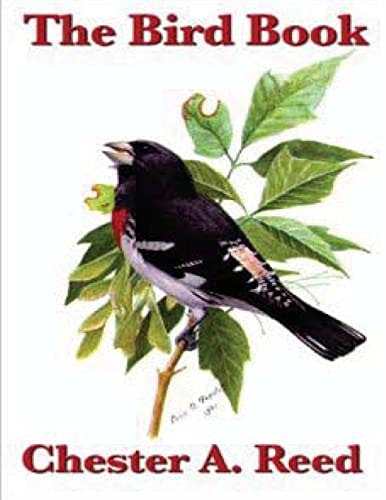 The Bird Book Illustrating in Natural Colors More Than Seven Hundred North Ame