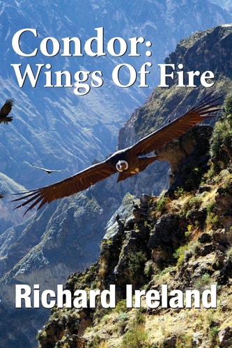 Condor Wings of Fire