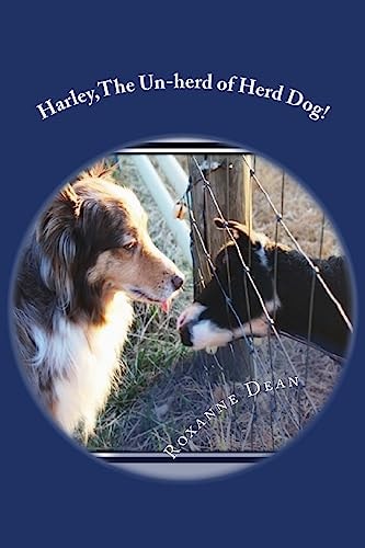 Harley, The Un-herd of Herd Dog!