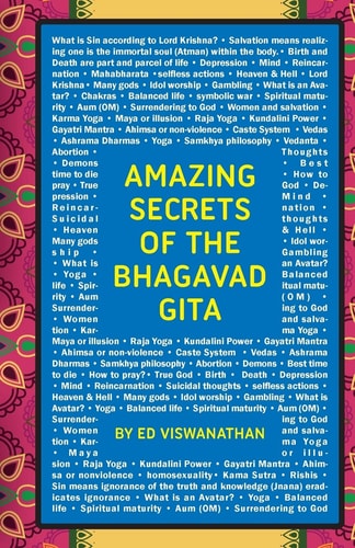 Amazing Secrets of the Bhagavad Gita A Grandfather and Grandson Discuss Hinduism, Yoga, Reincarnation, and More