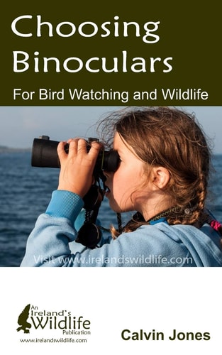 Choosing Binoculars for Bird Watching and Wildlife 12 Essential Tips to Help You Pick the Perfect Wildlife and Birding Binocular