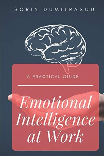 Emotional Intelligence at Work A Practical Guide