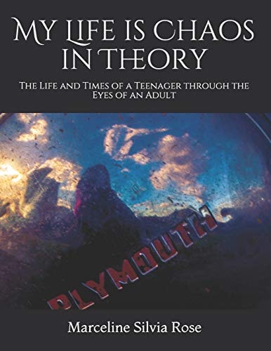 My Life Is Chaos in Theory The Life and Times of a Teenager Through the Eyes of an Adult