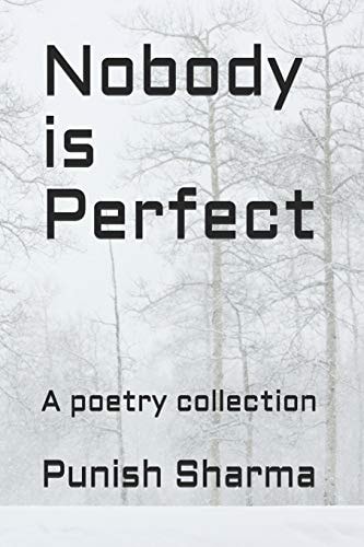 Nobody Is Perfect A Poetry Collection