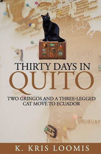 Thirty Days In Quito Two Gringos and a Three-Legged Cat Move to Ecuador