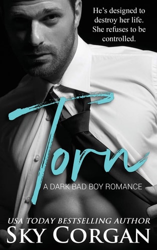 Torn A Dark Bad Boy Romance