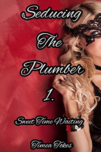 Seducing the Plumber 1: Sweet Time Waiting A Short Erotic Story (Straight)