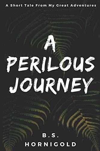A Perilous Journey A Short Tale From My Great Adventures