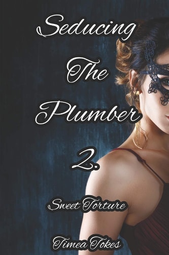 Seducing the Plumber 2: Sweet Torture A Short Erotic Story (Straight)