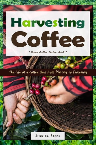 Harvesting Coffee The Life of a Coffee Bean from Planting to Processing