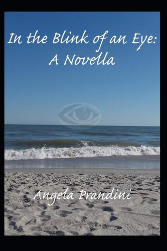 In the Blink of an Eye A Novella