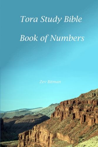 Tora Study Bible Numbers