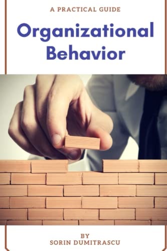 Organizational Behavior A Practical Guide