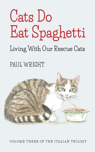 Cats Do Eat Spaghetti Living with Our Rescue Cats