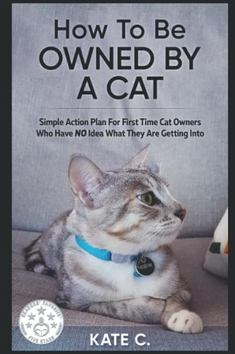 How To Be Owned By A Cat Simple Action Plan For First Time Cat Owners Who Have NO Idea What They Are Getting Into