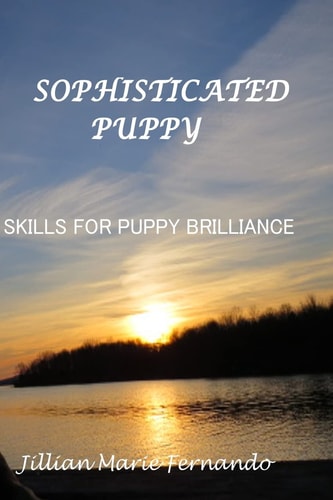 Sophisticated Puppy Training Skills for Puppy Brilliance