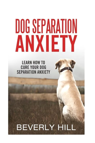Dog Separation Anxiety Learn How to Cure Your Dog Separation Anxiety