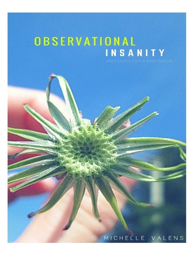 Observational Insanity Short Poetry from a Short Nobody