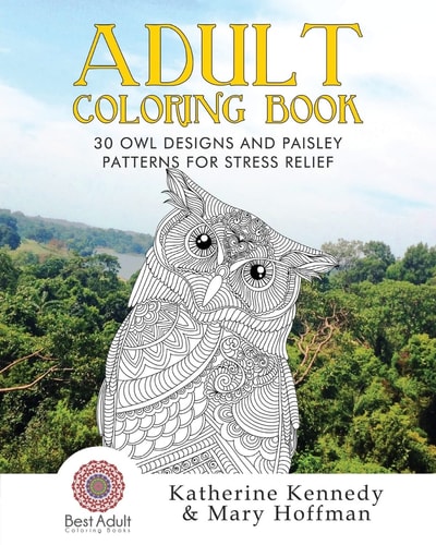 30 Owl Designs and Paisley Patterns for Stress Relief
