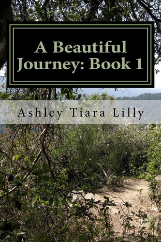 A Beautiful Journey Book 1