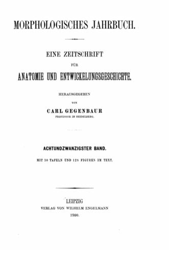 Morphologisches Jahrbuch