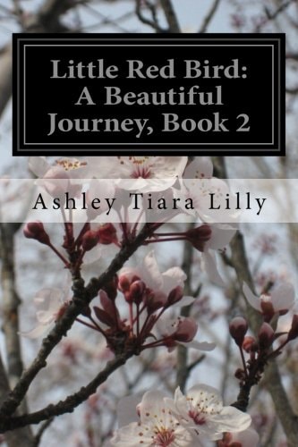 Little Red Bird A Beautiful Journey, Book 2