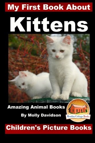 My First Book about Kittens - Amazing Animal Books - Children's Picture Books