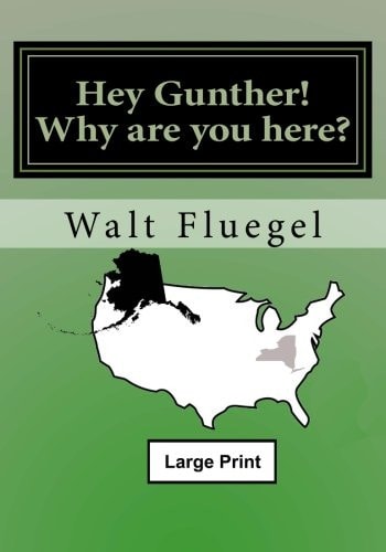 Hey Gunther! Why Are You Here? Lp