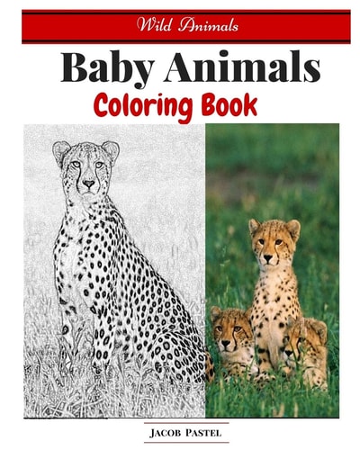 Baby Animals Coloring Book Wild Animals Coloring Book ( Dover Coloring Books Animals )