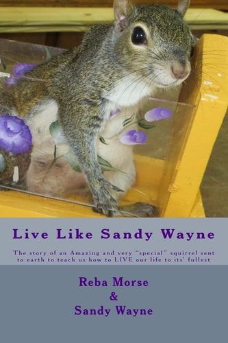 Live Like Sandy Wayne The Story of an Amazing and Very Special Squirrel Sent to Earth to Teach Us How to LIVE Our Life to Its' Fullest