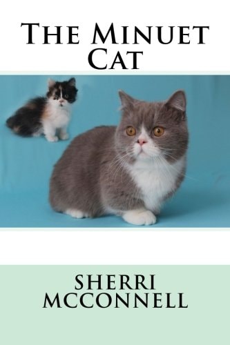The Minuet Cat