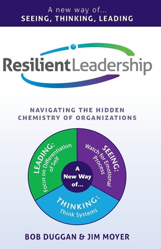 Resilient Leadership Navigating The Hidden Chemistry of Organizations