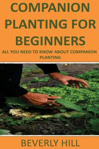 Companion Planting For Beginners All You Need to Know about Companion Planting