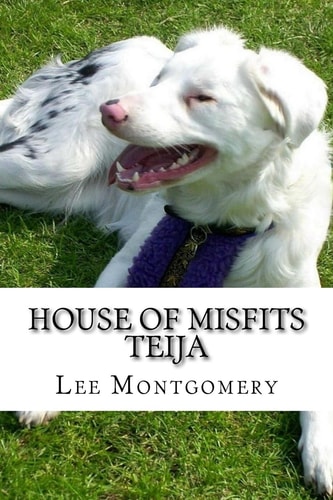 House of Misfits - Teija Border Collie Born Deaf and Blind