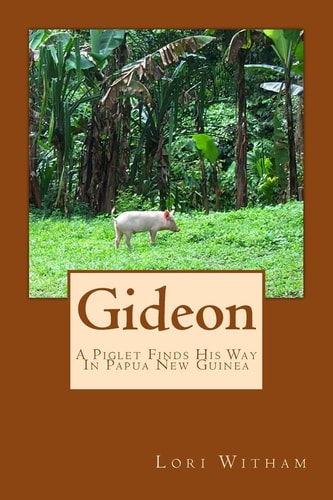 Gideon A Piglet Finds His Way In Papua New Guinea
