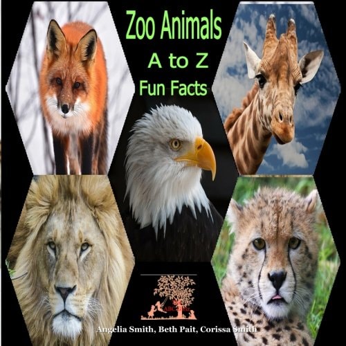 Zoo Animals A to Z