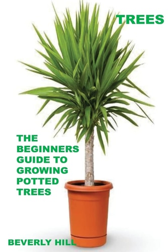 Trees The Beginners Guide To Growing Potted Trees