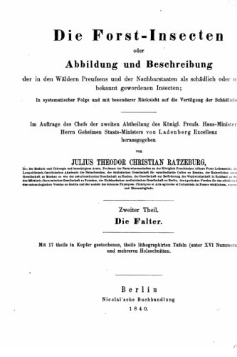 Die Forst-Insecten