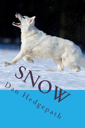 Snow A Sean Tzu Mystery Thriller