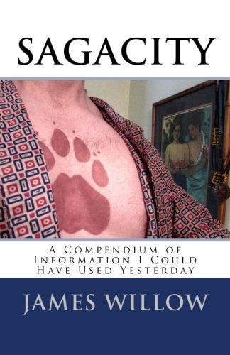 Sagacity A Compendium of Information I Could Have Used Yesterday