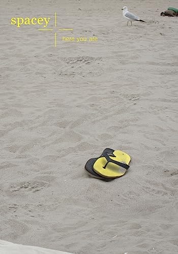 Spacey The Beach