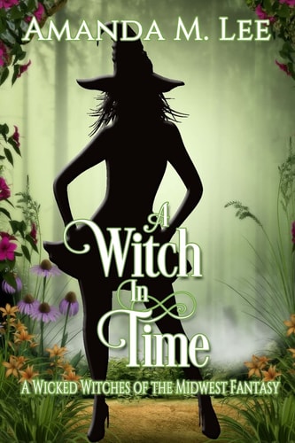A Witch in Time A Wicked Witches of the Midwest Fantasy