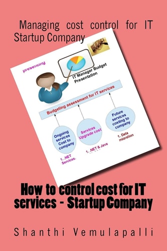 How to Control Cost for IT Services - Startup Company Managing Cost Control for IT Startup Company