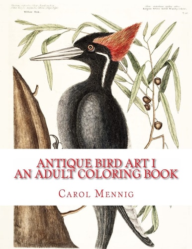 Antique Bird Art I: An Adult Coloring Book