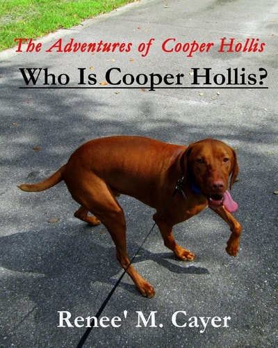 The Adventures of Cooper Hollis Who Is Cooper Hollis?
