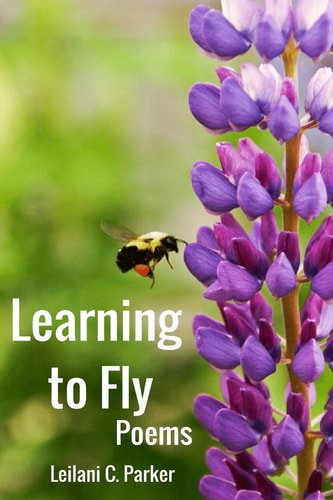 Learning to Fly