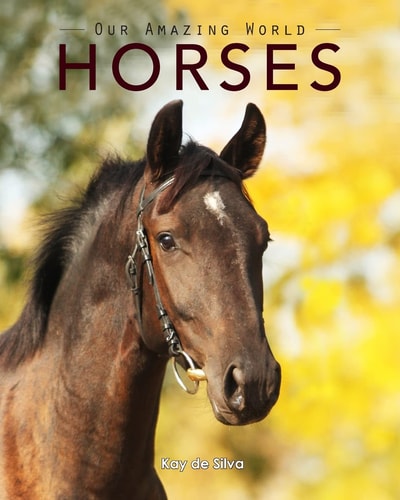Horses Amazing Pictures and Fun Facts on Animals in Nature