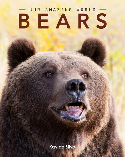 Bears Amazing Pictures & Fun Facts on Animals in Nature
