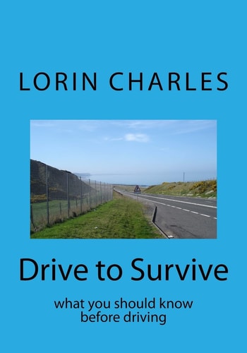 Drive to Survive What You Should Know Before Driving